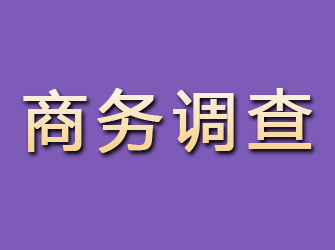 白城商务调查